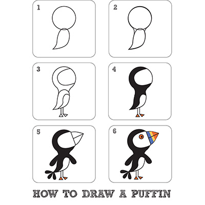 How to draw a Puffin