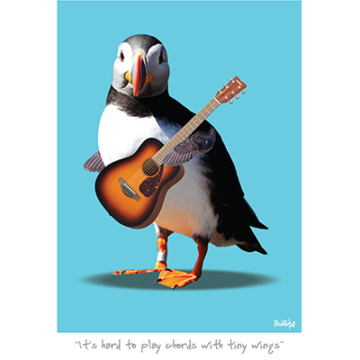 It’s hard to play chords with tiny wings