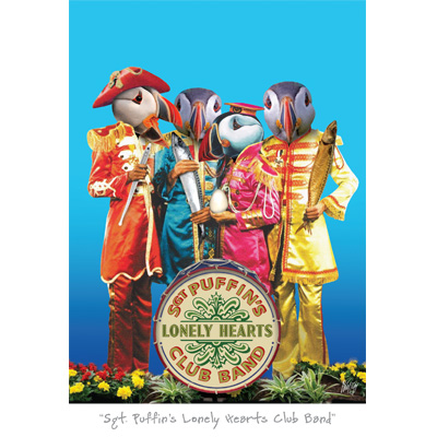 Sgt Puffin's Lonely Hearts Club Band