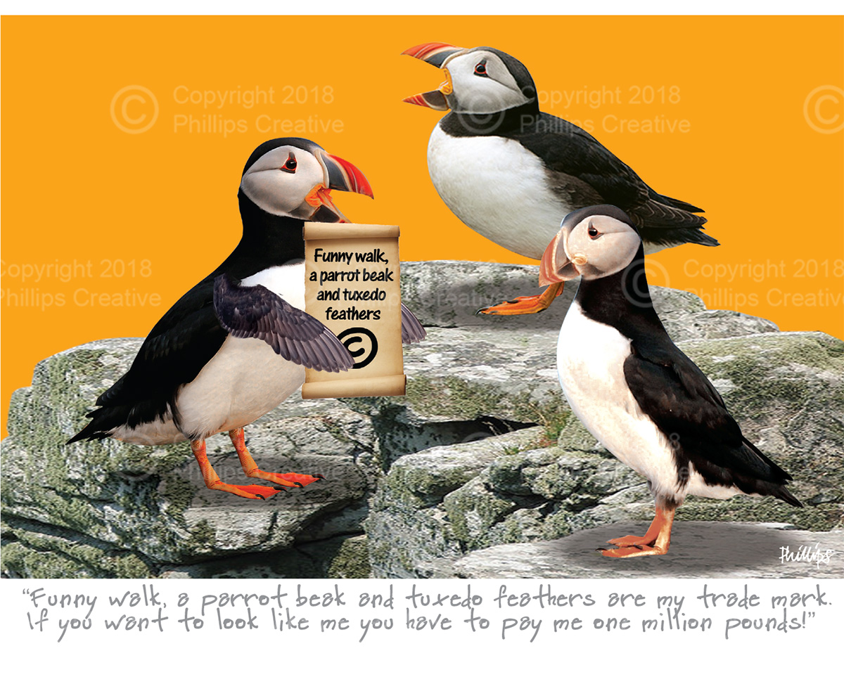 Funny walk, a parrot beak and tuxedo feathers are my trade mark. If you want to look like me you have to pay me one million pounds!